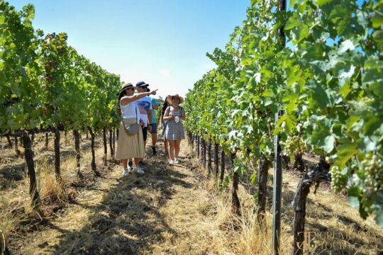Bocelli Backstage And Wine Day Tour from Florence