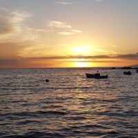Boat Tours