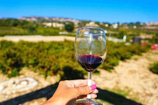 WINE TOUR from Paphos