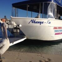 Cruises, Sailing & Water Tours