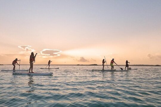 Sunrise in Paddle with Picnic in front of the Bird Sanctuary