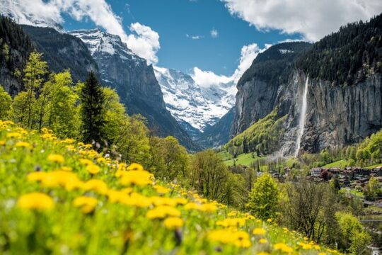 Swiss Villages Grindelwald and Interlaken Day Trip from Zurich