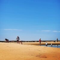 Ports of Call Tours