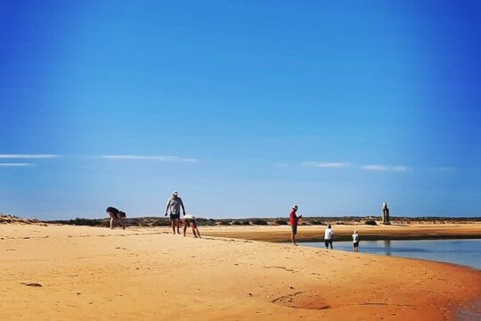 3 Hour Boat Tour in Ria Formosa