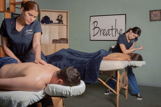 Ensenada Shore Excursion: Massage w Port Pickup & Tour Options