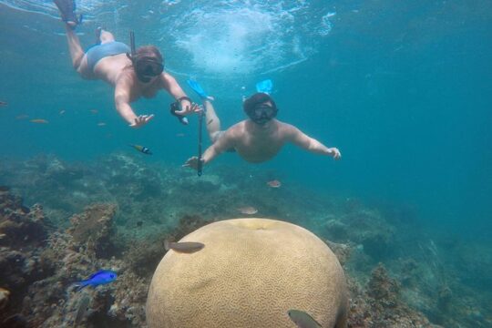 Punta Cana Private Cruise Up To 10 Snorkeling & Seafood lunch