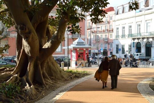 Chiado to Principe Real: A Self-Guided Audio Tour