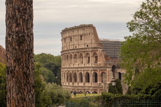 Rome Colosseum Roman forum and Palatine Self Guided