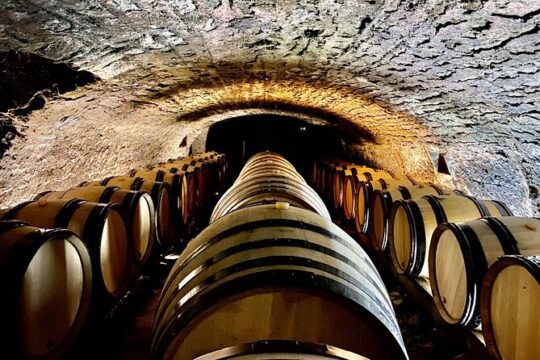 Full-Day North Burgundy and Chablis Wine Tasting Tour from Paris