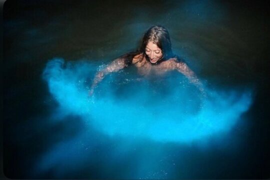 Magnificent Luminous Lagoon Tour from Montego Bay Accommodations
