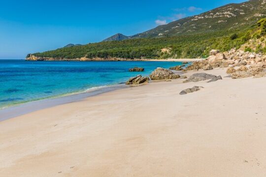 Wine Tour in Azeitão and Setúbal with Arrábida Beaches