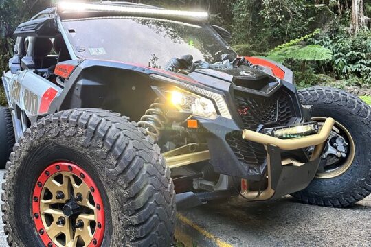 3-Hour Private UTV Tour in San Juan