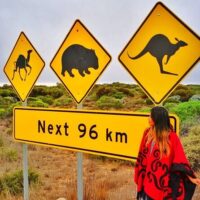 Multi-day & Extended Tours