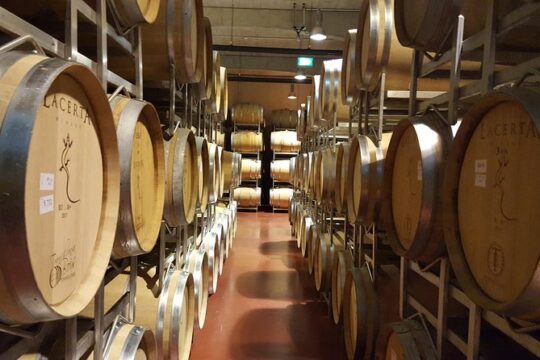 Prahova Valley Wine Tour from Bucharest Small Group