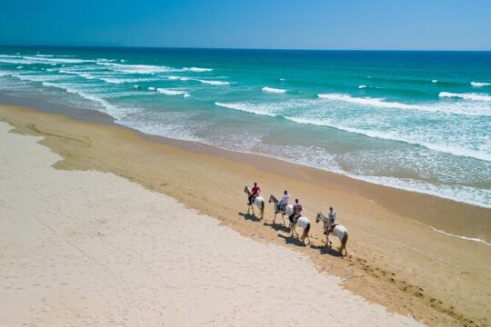 Horseback Riding, 4 Options-Mountain, Lesson Ring, Beach (2Hours)