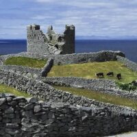 Day Trips & Excursions