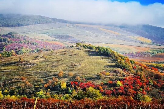 Private winetasting and sightseeing tour to Eger, home to Bull's Blood wine!
