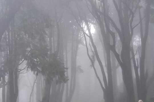 7 Hours Mystic Walking Tour