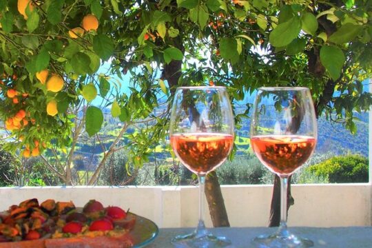 Outdoor Barbeque in a Lakefront Garden in Tomar Countryside