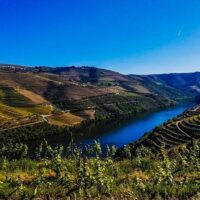 Private & Custom Tours