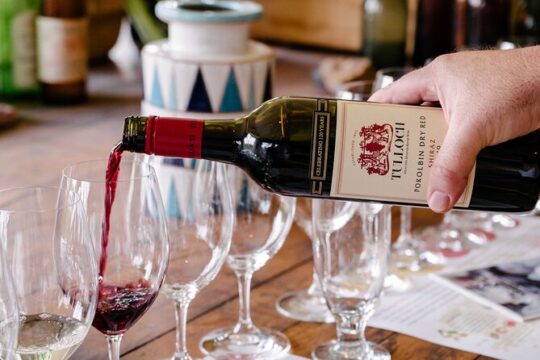 Tulloch Wines- Tasting of 6 Pokolbin Dry Red Shiraz Vintages with Charcuterie