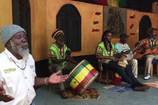 Dunn's River Falls & Bob Marley Nine Mile Ocho Rios Comb Tour