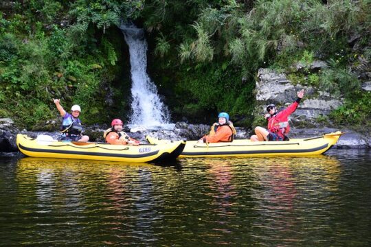 Family friendly scenic float on Te Awa Kairangi, Grade 2