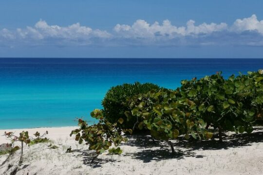 Private Airport Transfer Cancun - Playa del Carmen up to 9 pax OW