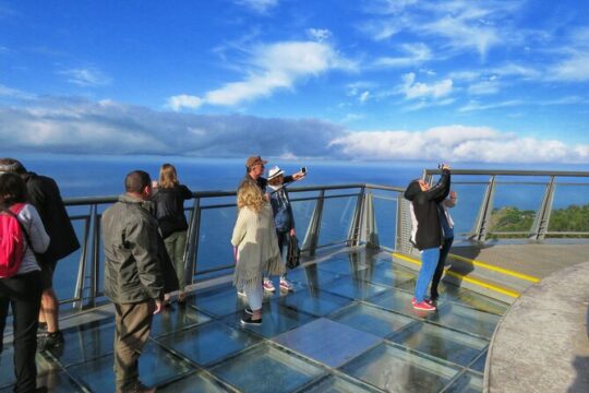 Skywalk, Vineyards, Landscapes and 4x4 Experience in Madeira