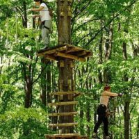 Obstacle Courses