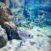Sustainable Tours