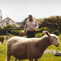Multi-day Tours