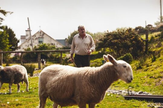 Dublin to South West 5 Day Small-Group Tour with Accommodation