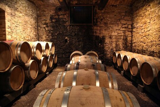 Wine tasting & vineyards escape day tour from Tirana