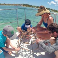 Sustainable Tours