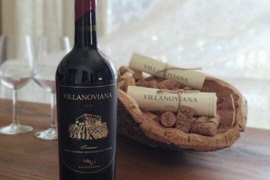 Discovering the Bolgheri vineyards and tasting local products