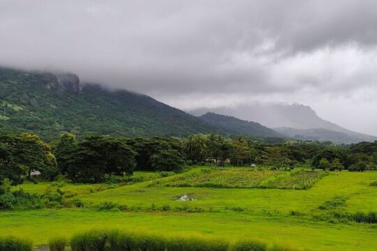 Private Tour: Best of Nadi Highlights