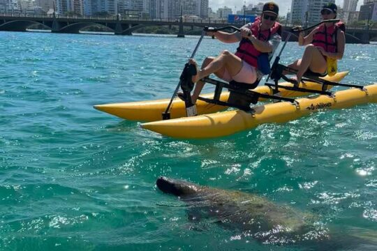 Chiliboats Tours Unique Experience in Old San Juan