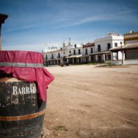Volunteer Tours