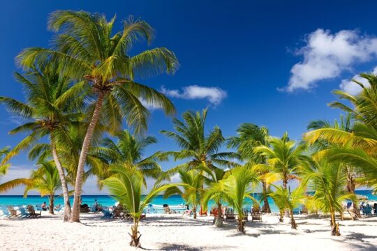 Saona Island Full Day: Natural Pool & Catamaran Cruise with Lunch