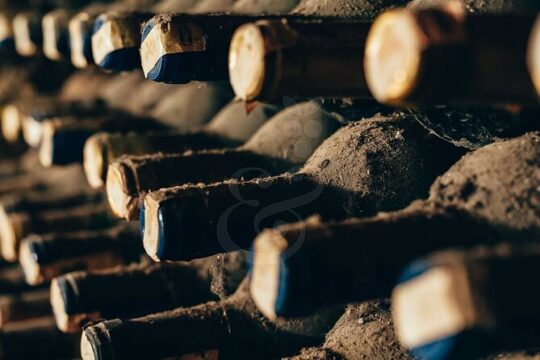 VIP Full Day Wineries Tour from Istanbul