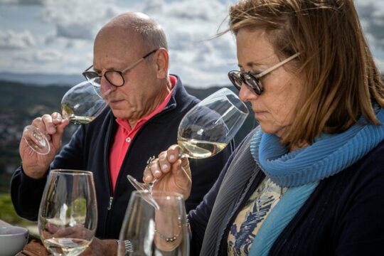 Selection Tasting | Quinta de Santa Cristina Vinho Verde