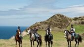 Horseback Riding 