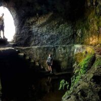 Private & Custom Tours