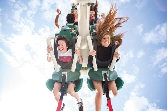 Movie World Theme Park from Brisbane Hotel One Way Transfer