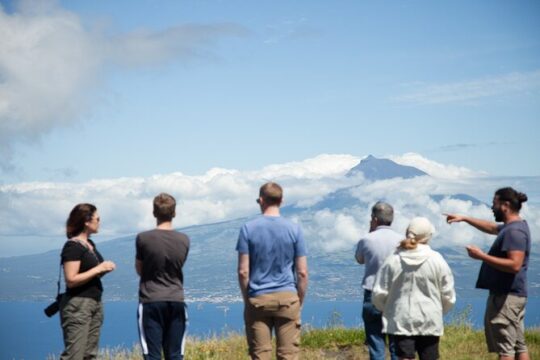 Full Day Private Trip Faial