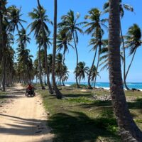 Photography Tours