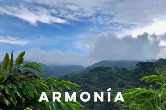 3 Days / 2 Night Glamping by the waterfalls of Pluma + Picnic + Coffee Tour
