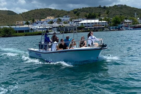 Puerto Rico: Bio Bay Swim and Sunset Charter or Late night tour