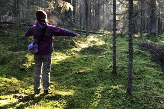 Hiking tour in Nuuksio National Park with meal and snacks